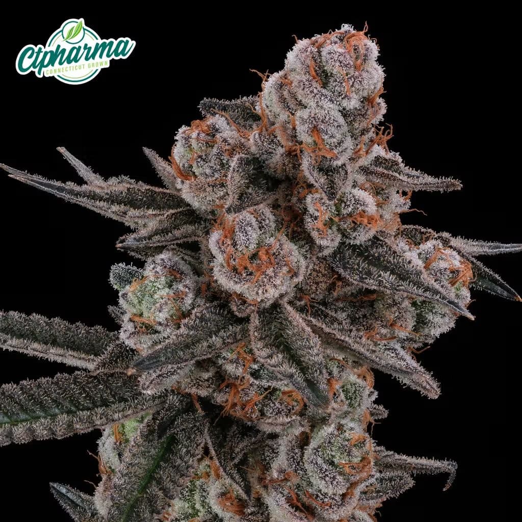 CTPharma Flower