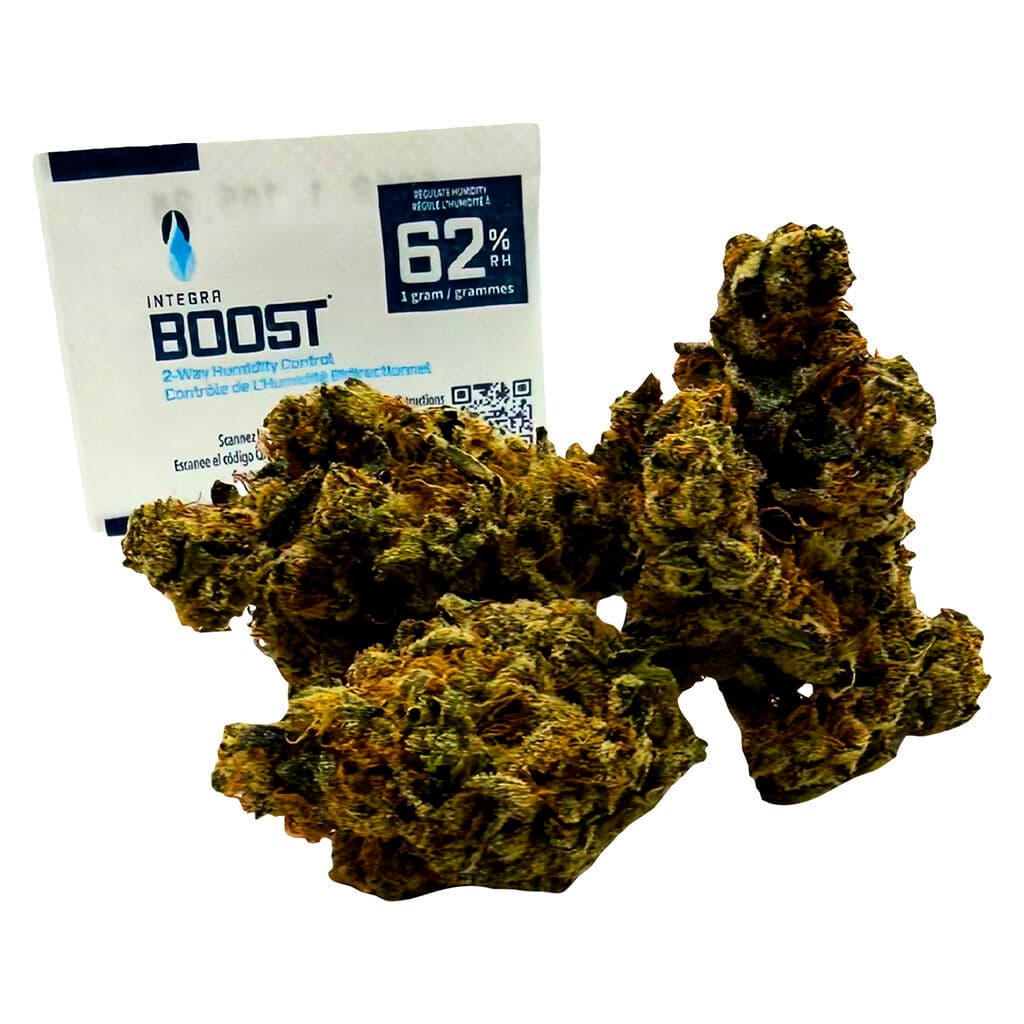 Space Race Cannabis Space Goblins - Sativa