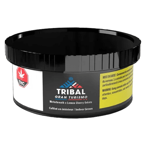 Tribal GT Dried Flower