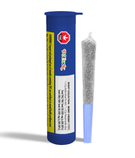 Potluck Potluck : Berry Cherry Infused Pre-Roll (1x0.5g)