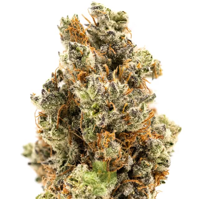 THC Design Pineapple Surprize