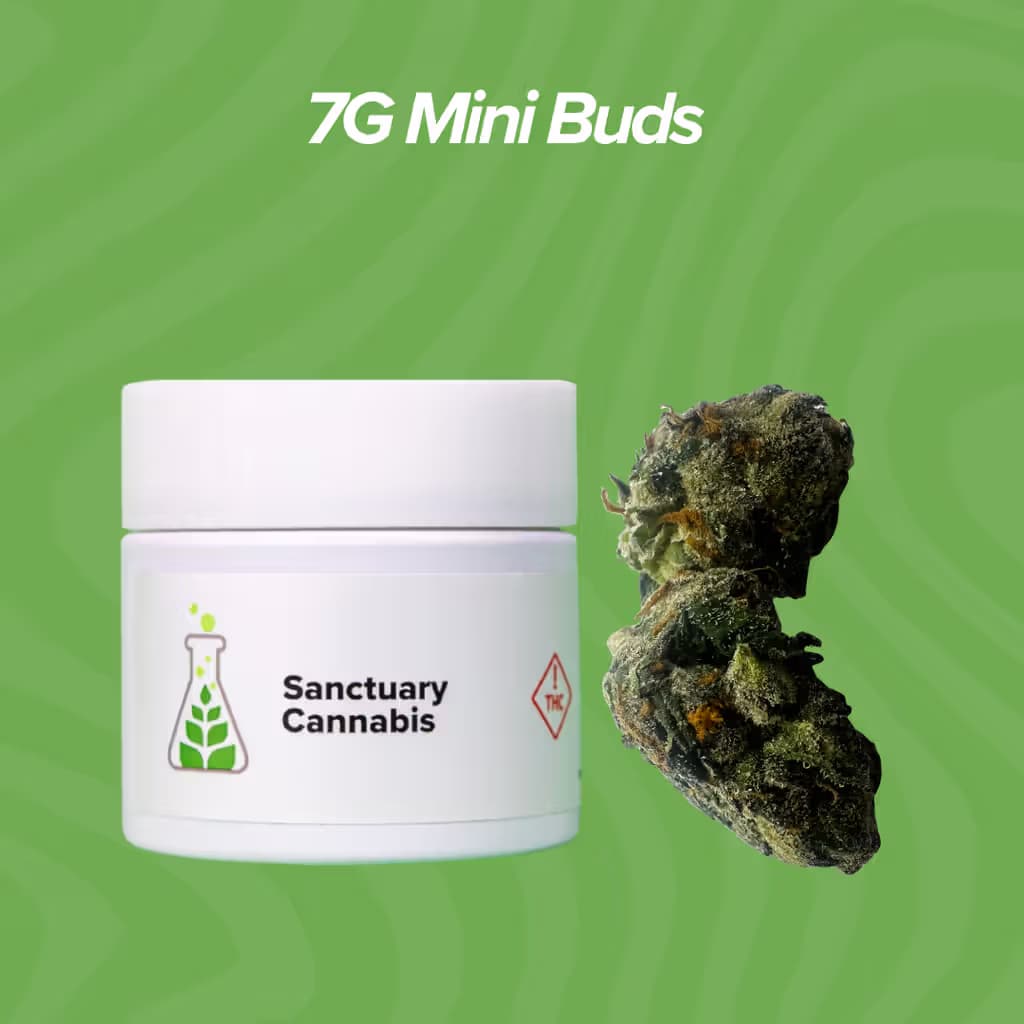 Sanctuary Cannabis Apples and Bananas