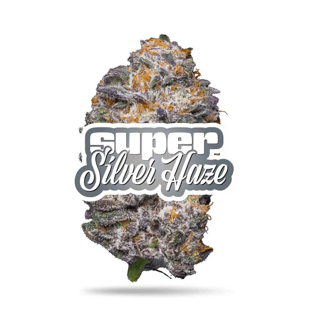 Cookies Flower