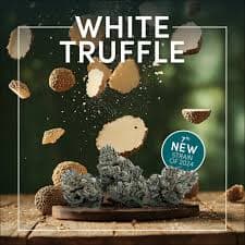 Noa Botanicals NOA White Truffle - Flower