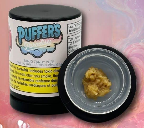 PUFFER'S PARADISE Banjo Candy Puff | Live Rosin | 1g