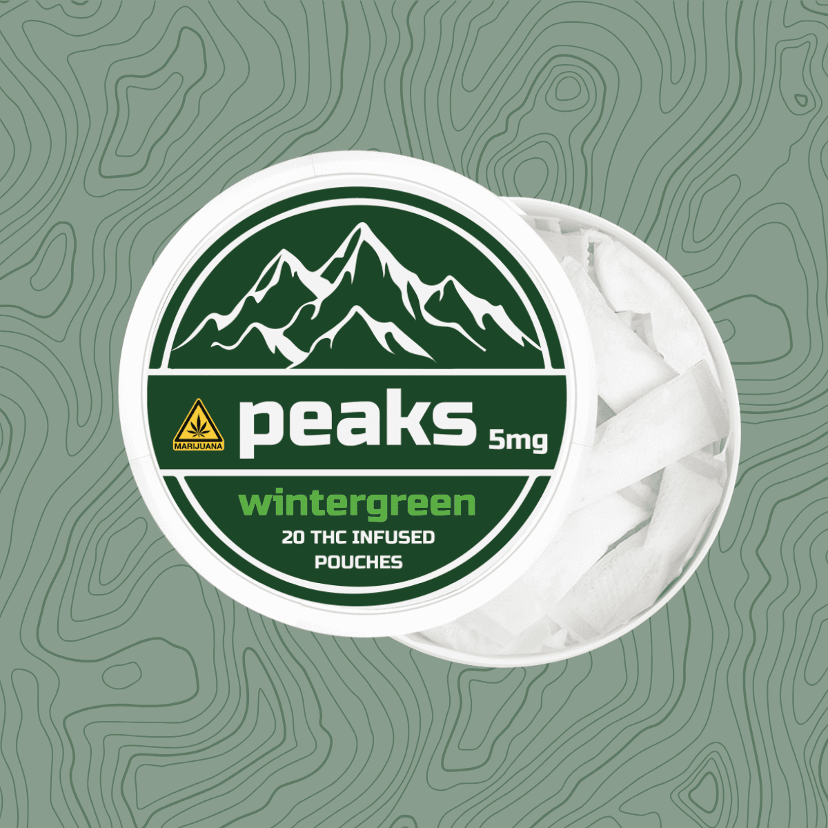 Shovels Peaks Pouches | Wintergreen | 20pk | 100mg
