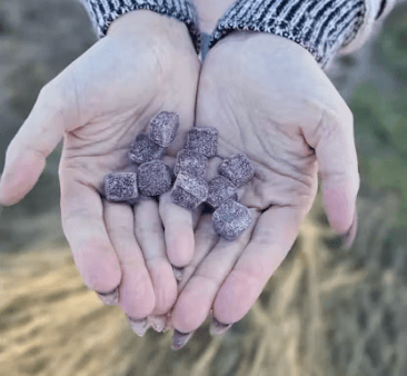 IGY6 Gummies | Huckleberry | Co2 Indica