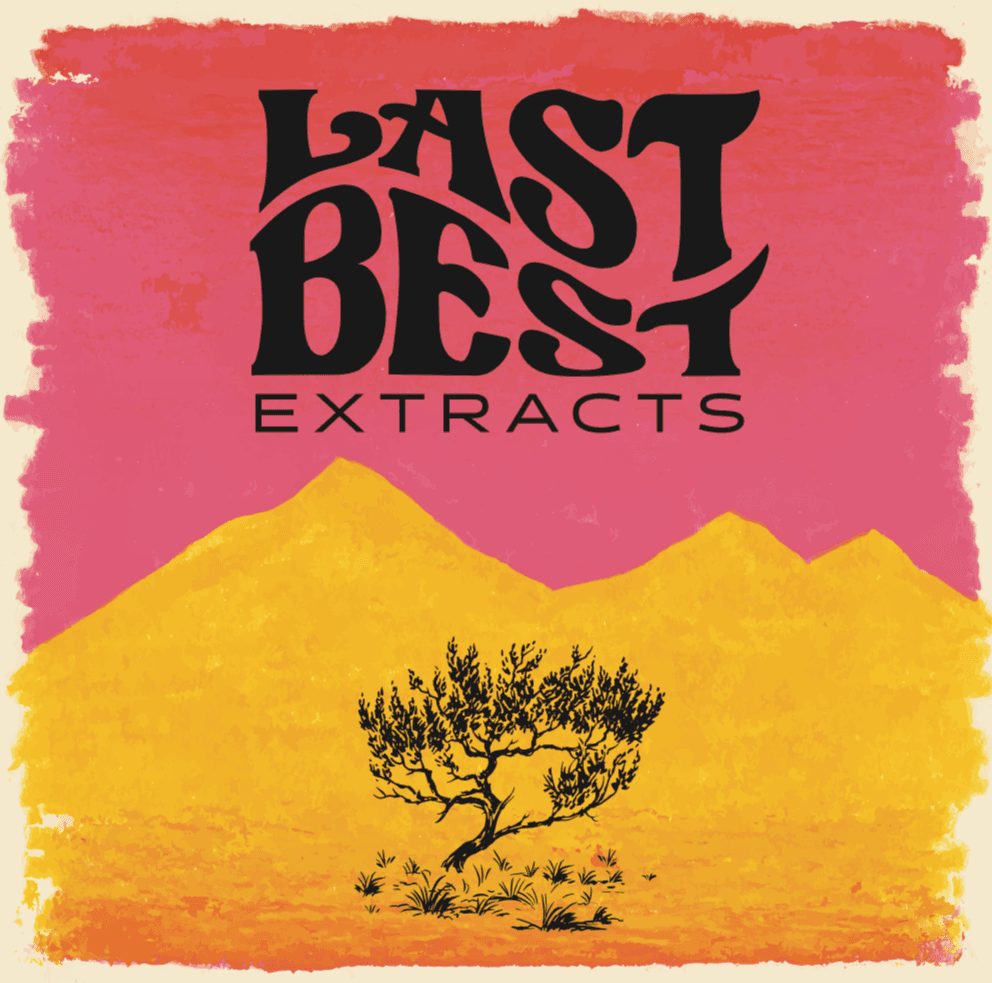 Last Best Extracts Vapes