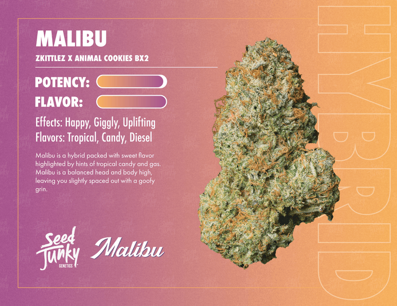 Seed Junky