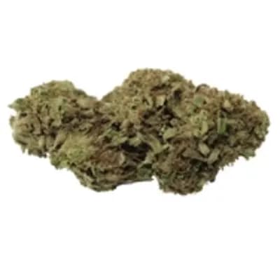 Jonny Chronic
