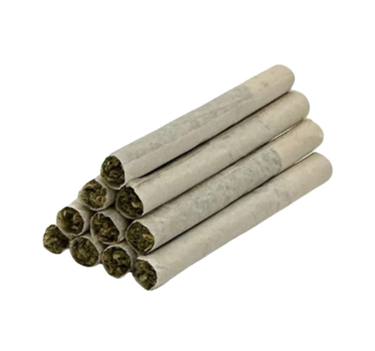 TRYGG Hawaiian Punch Pre-Rolls - Sativa - 10x0.4g