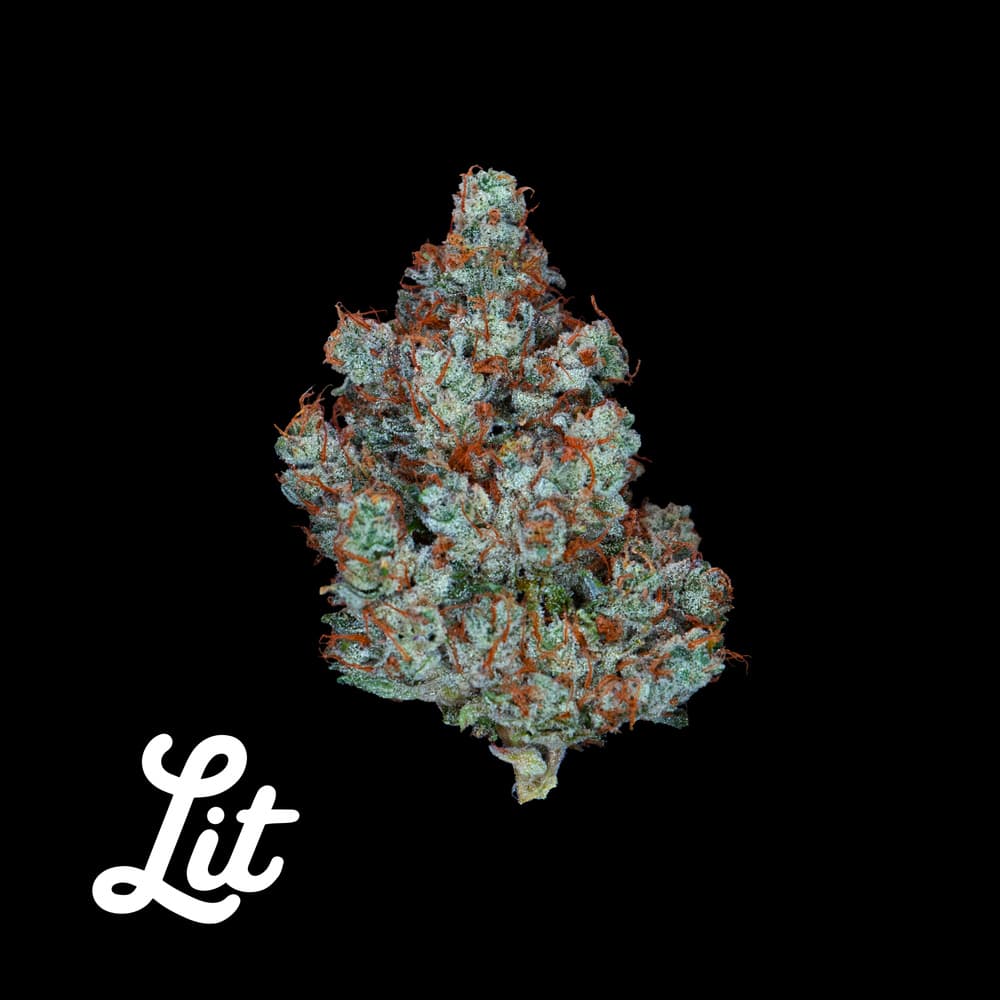 Lit Labs