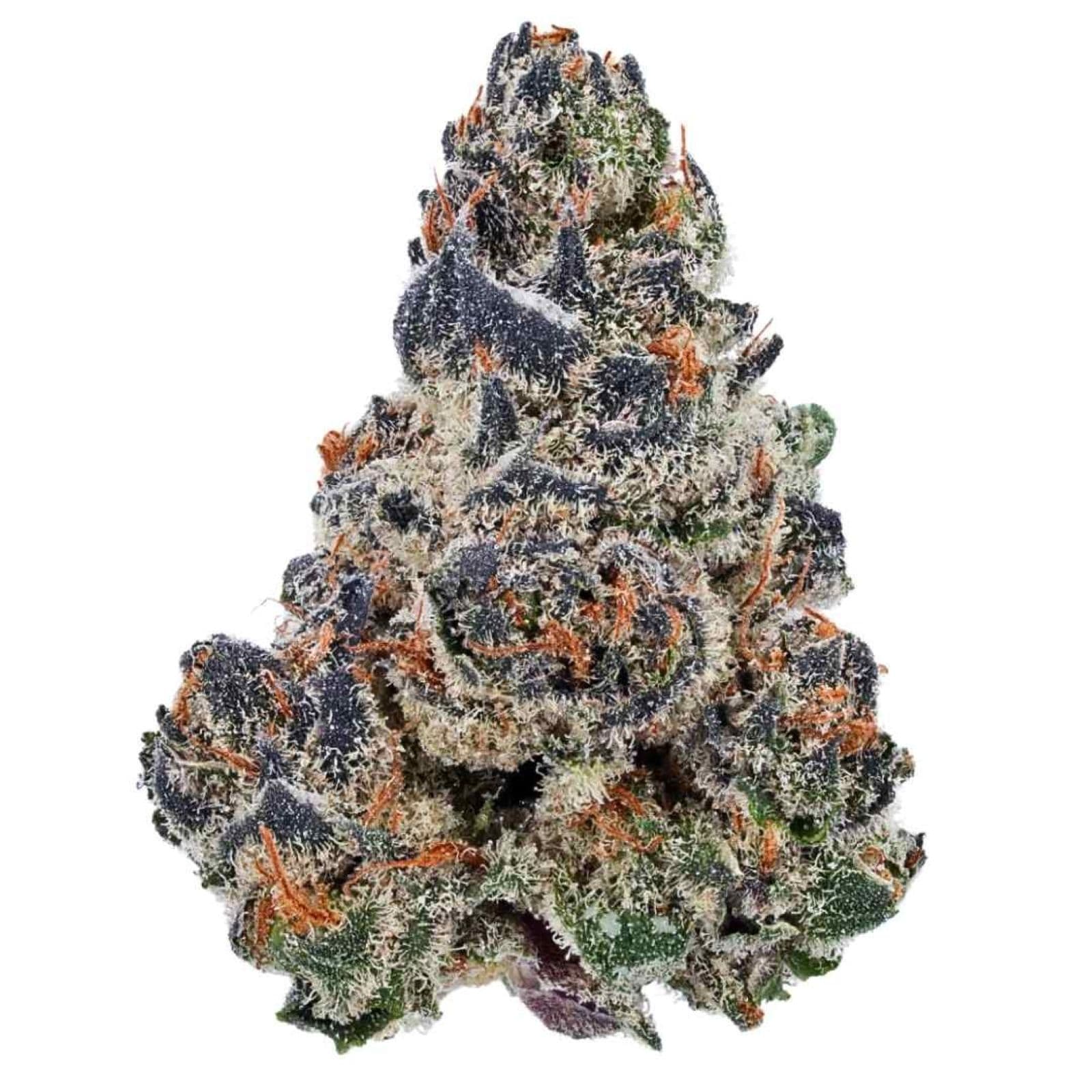 Silver Shelf Grape Cream Cake (H)