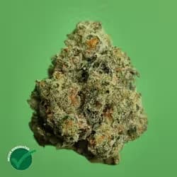 Theraplant Apple Tart 7g 41604