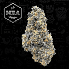 NEA Premium