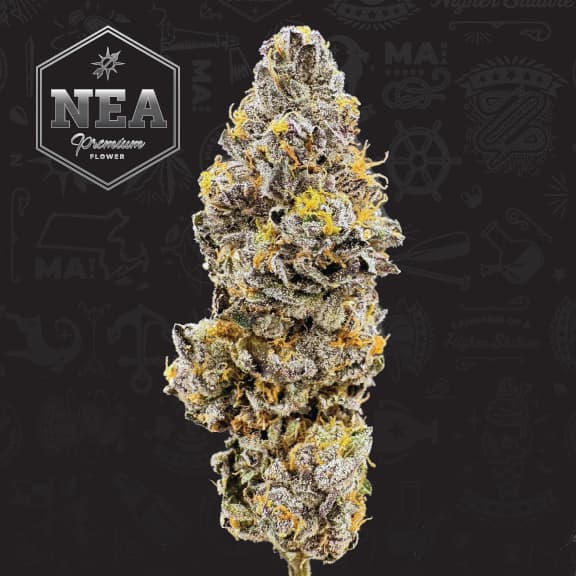 NEA Premium Zushi (I) - (Smalls)