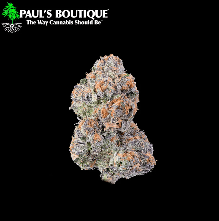 PAUL Raspberry Smore