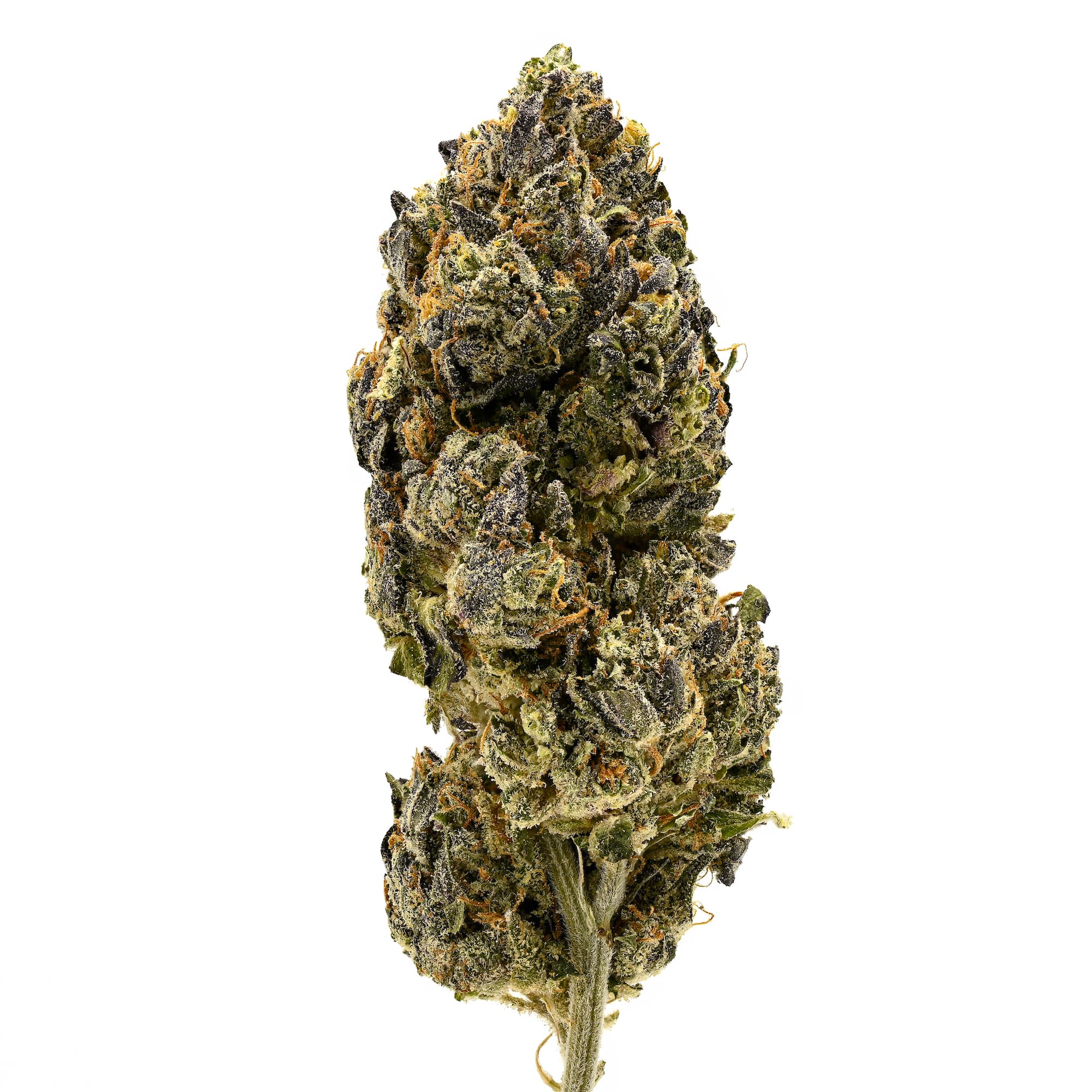 Iron Lung Mule Fuel (3.5G)