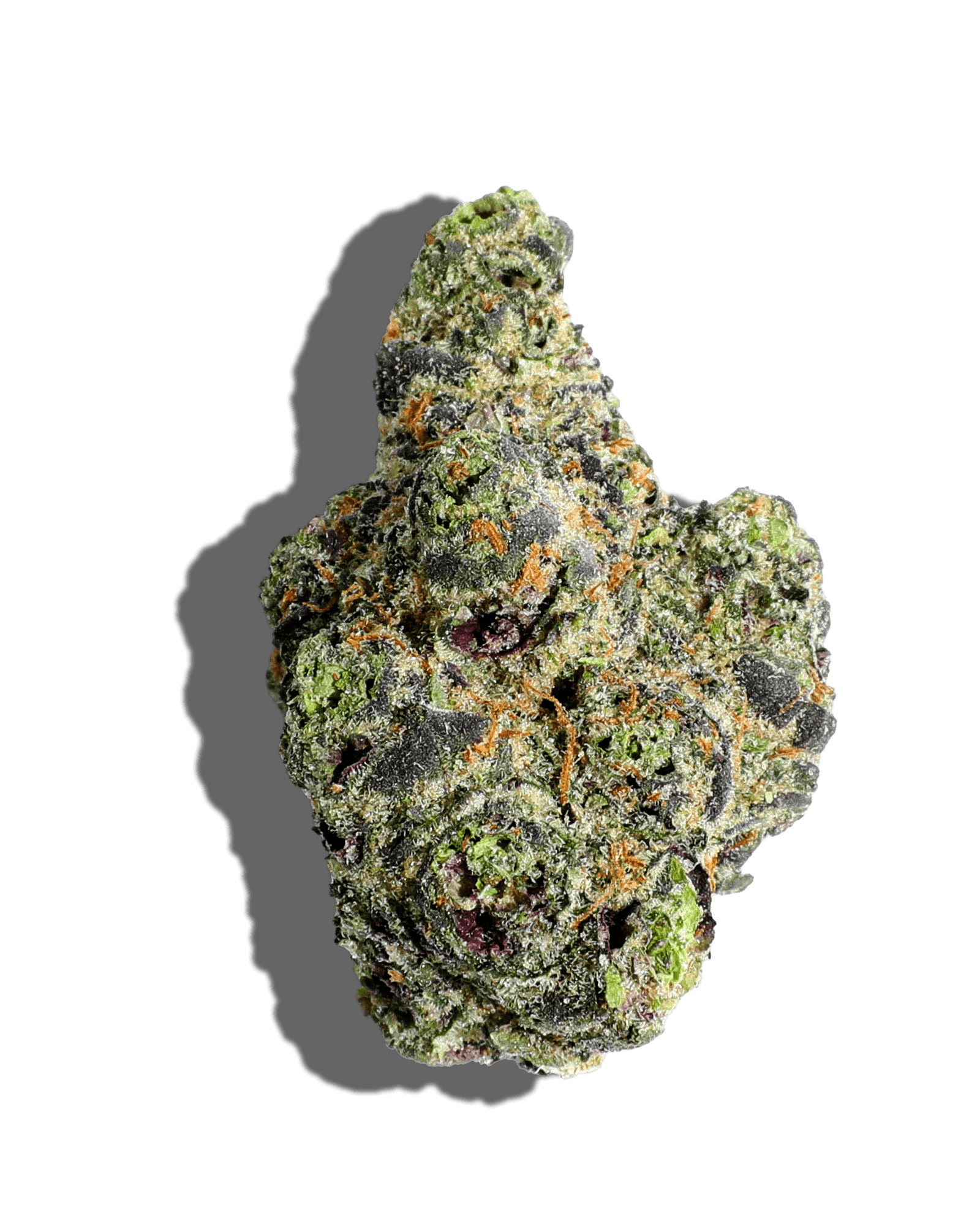 High Life Farms