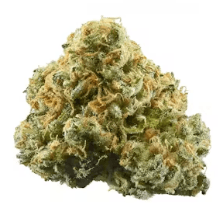 Just Good Bud Just Good Bud | Jealous Gary | 28g