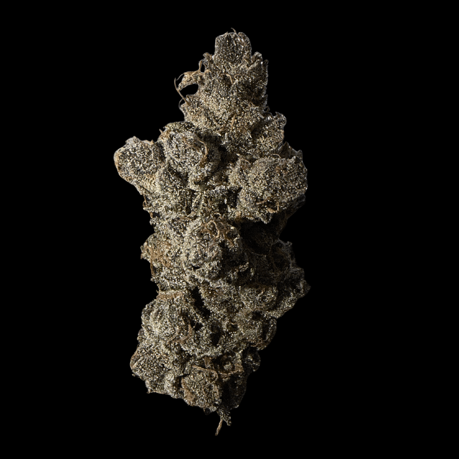 Max Harvest Max Harvest | 7g | Smarties