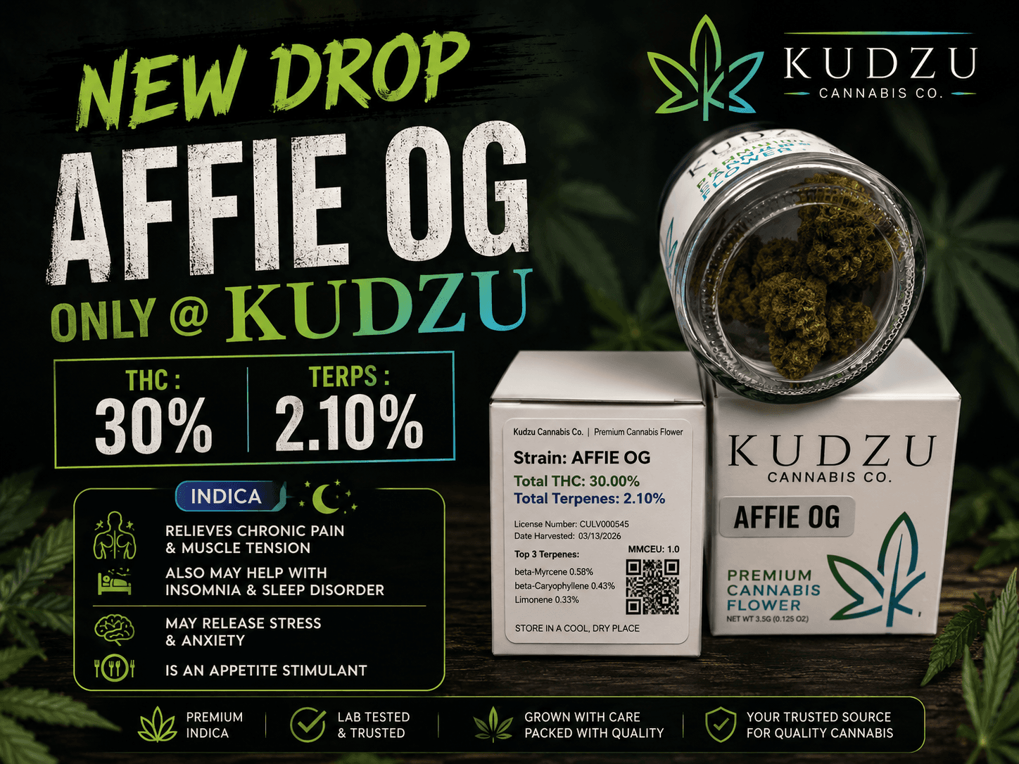 KUDZU