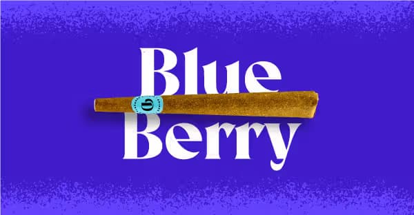 Doinks Blueberry