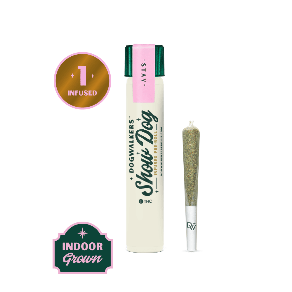 DOGWALKERS