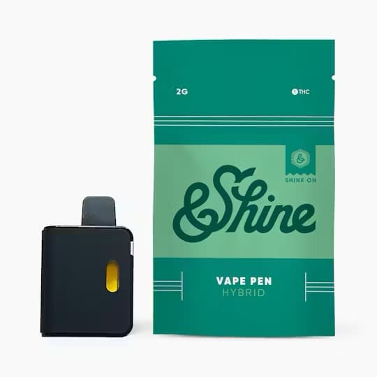 &Shine &Shine | Disposable | Blueberry Haze | 2g