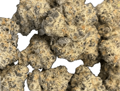 Green Harbor Fritter Banger (3.5g)