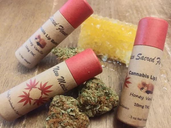 Honey Lip Balm 10mg THC | Sacred Flower