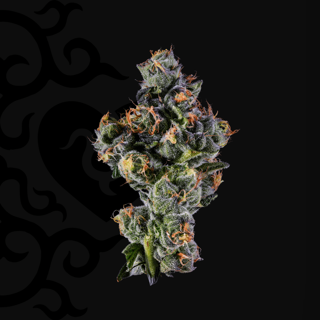 Dark Heart Sugar Kushions Whole Flower