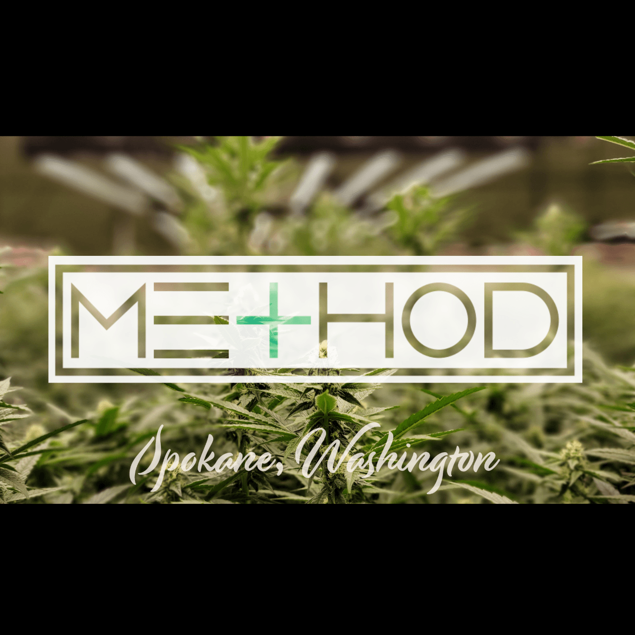 Method x Blackleaf Velvet Venom