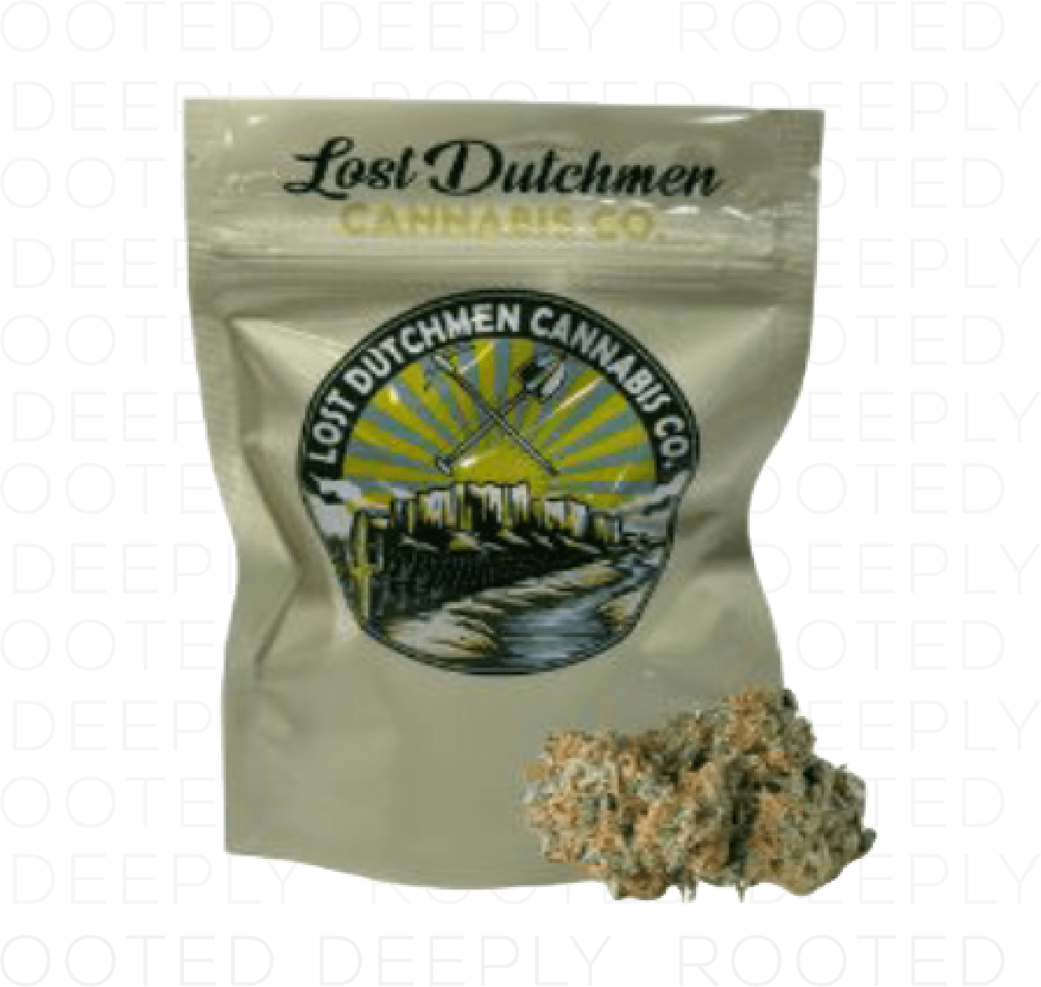 Lost Dutchmen