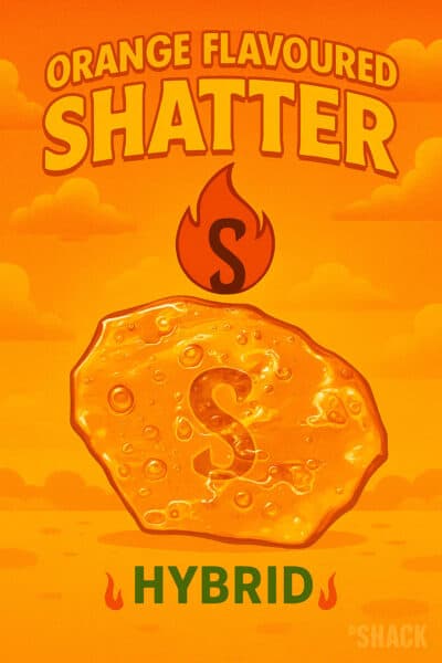 Sizzle Orange Flavoured Shatter | 1g