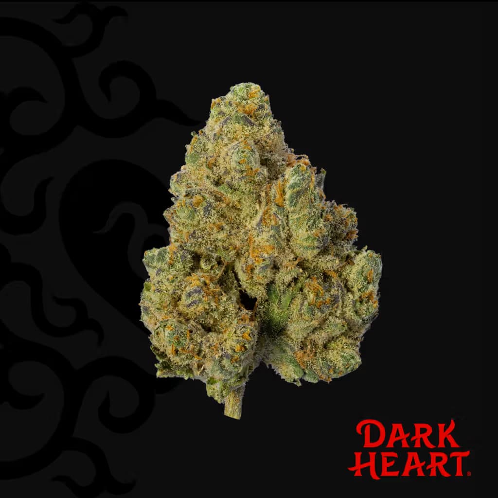 Dark Heart