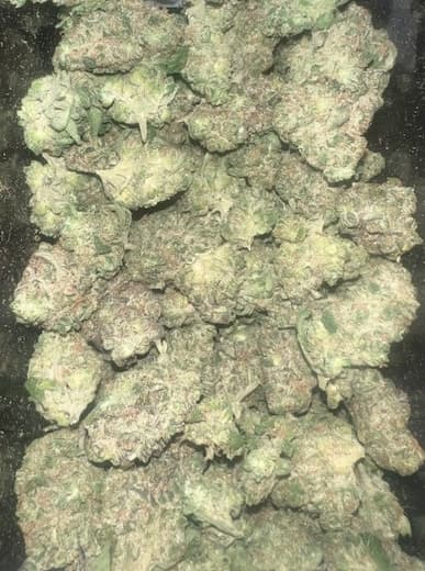 Deli Flower - Great Tier