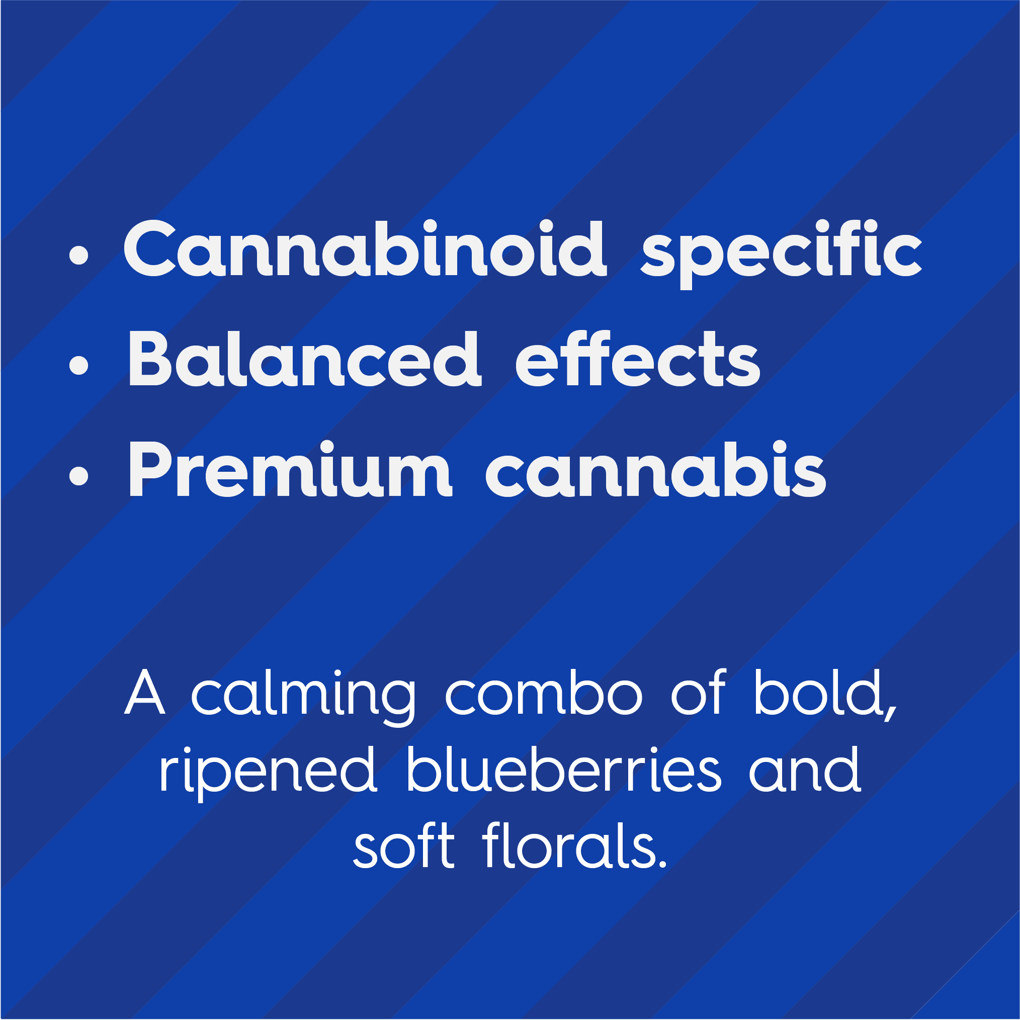 Sweet Talk Blueberry Lavender Slumber Gummies (1:2 THC:CBN) 10pk