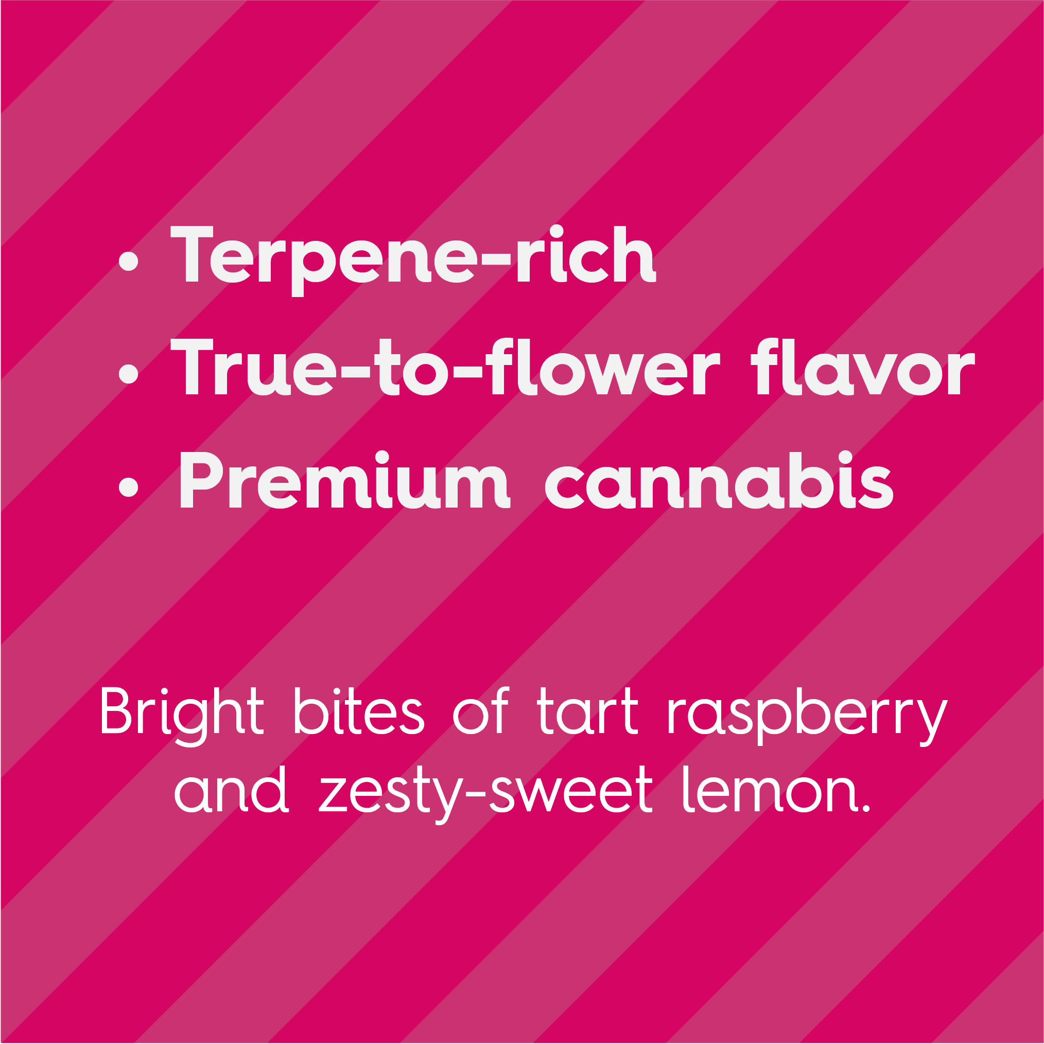 Sweet Talk Raspberry Lemonade Live Resin Gummies 10pk