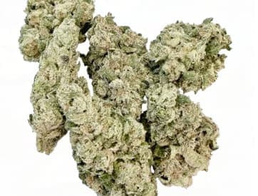 Sassy Weed