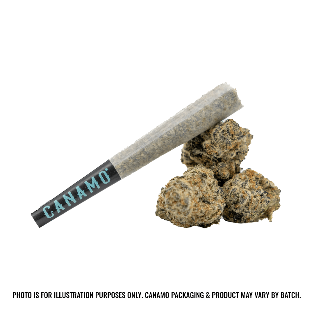 CANAMO CONCEPTS Classic Preroll 0.5g - Sublime