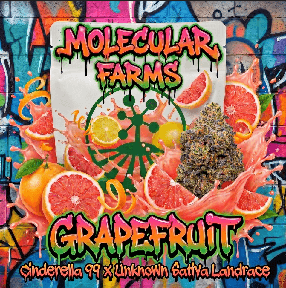 Molecular Farms