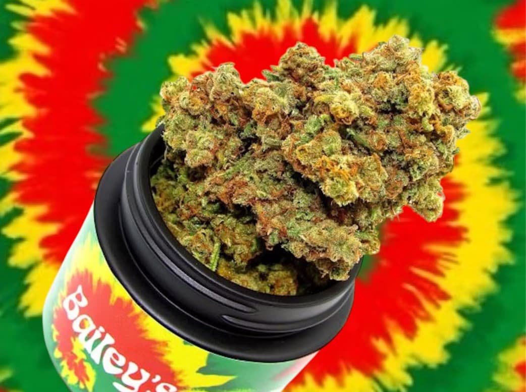 Bailey's Buds Donny Burger | 3.5g