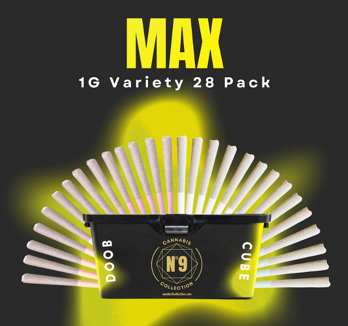No.9 Collection Doob Cube Max - (1g x28)