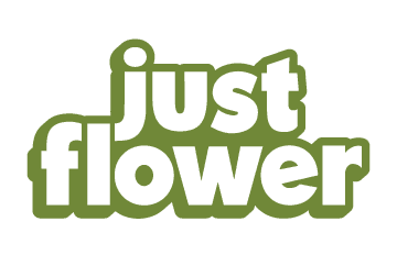 Just Flower Just Flower Triple Stuffed 15g