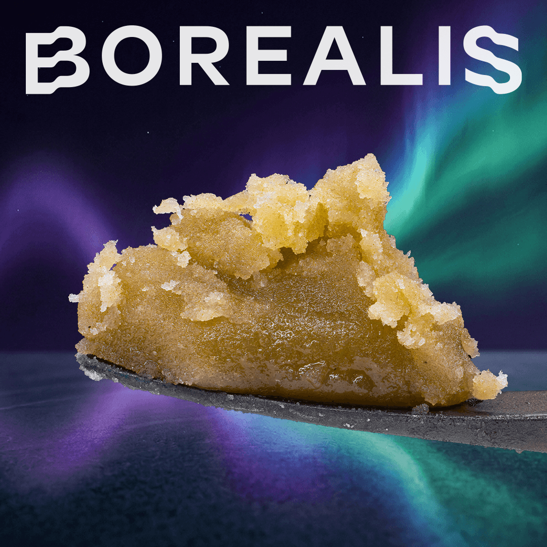 Borealis Gush Mintz (IH) - Borealis - 1g Piatella