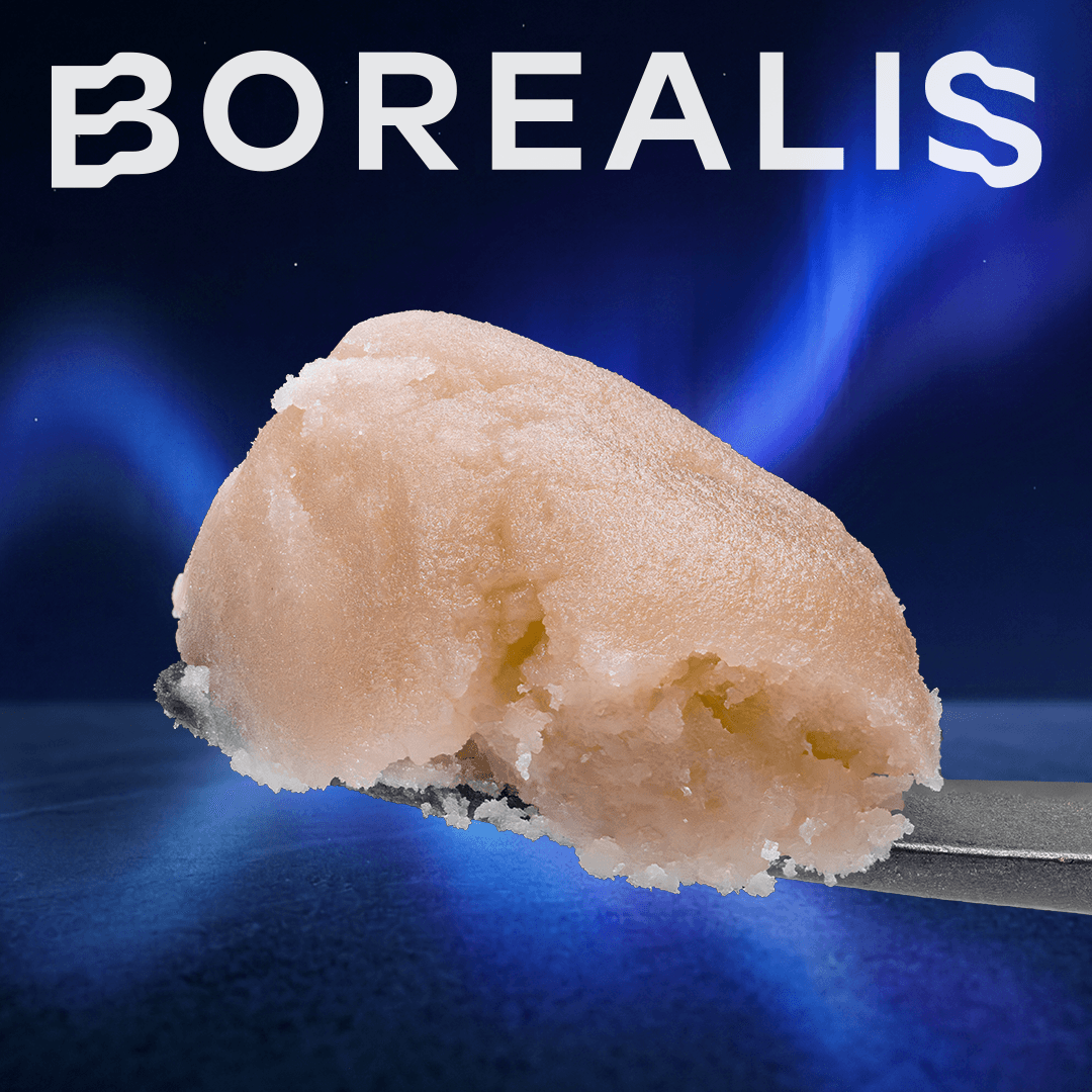 Borealis Super Boof (H) - Borealis - 1g Piatella