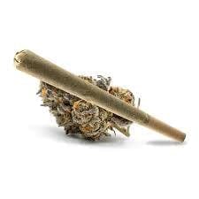 Bullet Train Lime OG Infused Pre-Rolls x 7pk