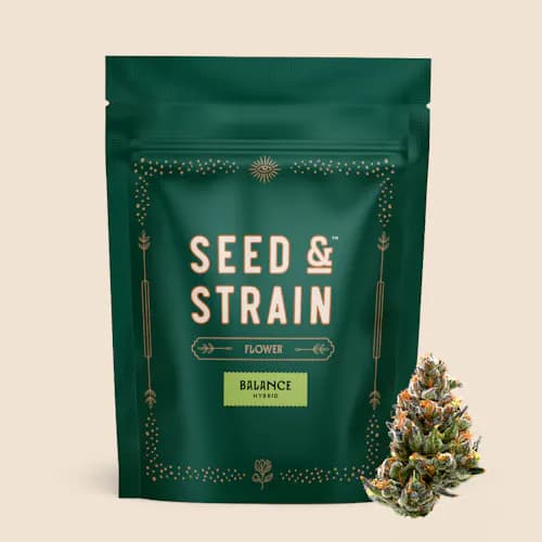 Seed & Strain Sun Cake