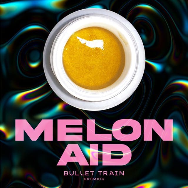 Bullet Train Extracts